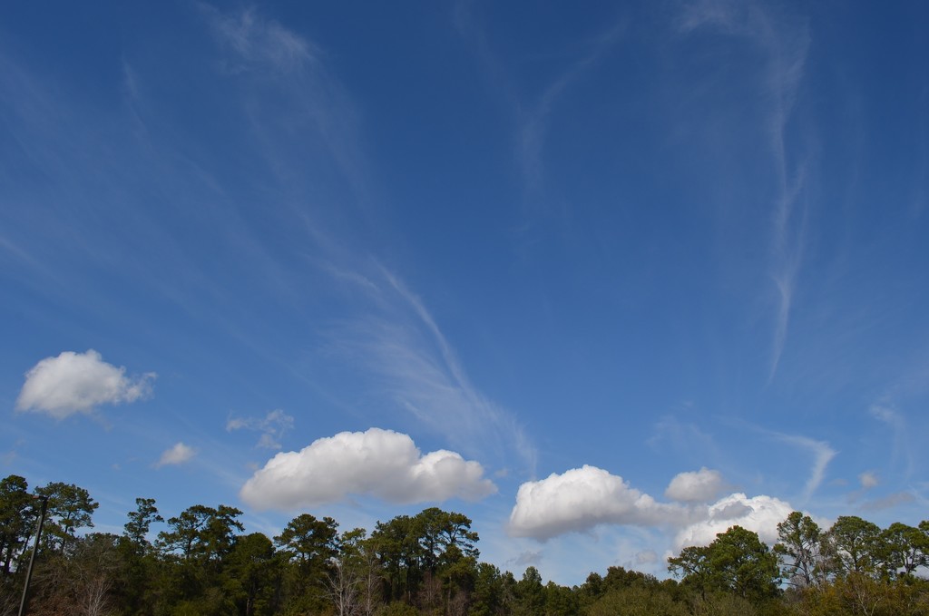 Clouds, Charles Towne Landing State Historic Site, Charleston, SC by congaree