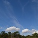 Clouds, Charles Towne Landing State Historic Site, Charleston, SC by congaree