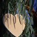 Wooden Heart by nickspicsnz