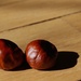 Chestnuts for my coat pocket by jyokota