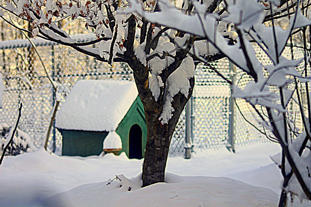 My Doghouse in the snow. by vernabeth