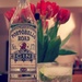 Gin o'clock by judithg