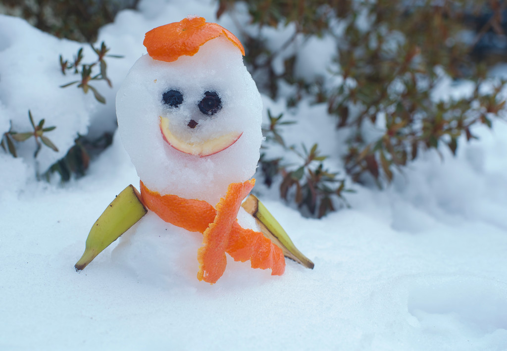 Fruit Snowman by loweygrace