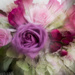 Zoom burst flowers by meemakelley