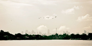 2nd Mar 2015 - SydNey SkYLine