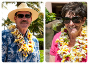 7th Mar 2015 - Aloha Nui Nui