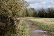 8th Mar 2015 - the path across the water meadows