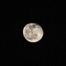 Goodnight Moon by epcello