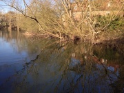 6th Mar 2015 - Constable Country Reflections