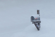 6th Mar 2015 - Mailbox in the Snow