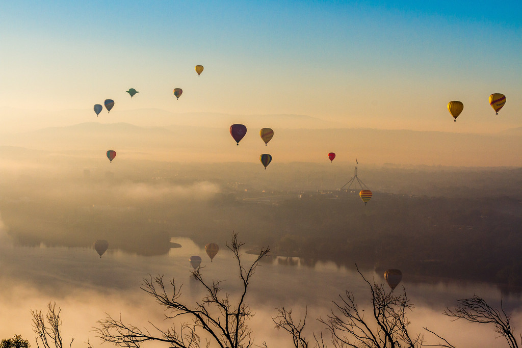 Canberra Day Balloon Festival by pusspup