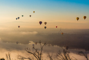 9th Mar 2015 - Canberra Day Balloon Festival
