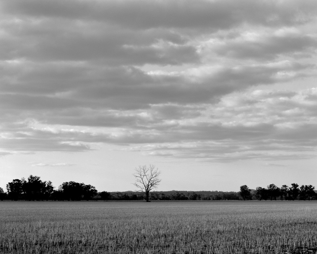 Across the stubble by peterdegraaff