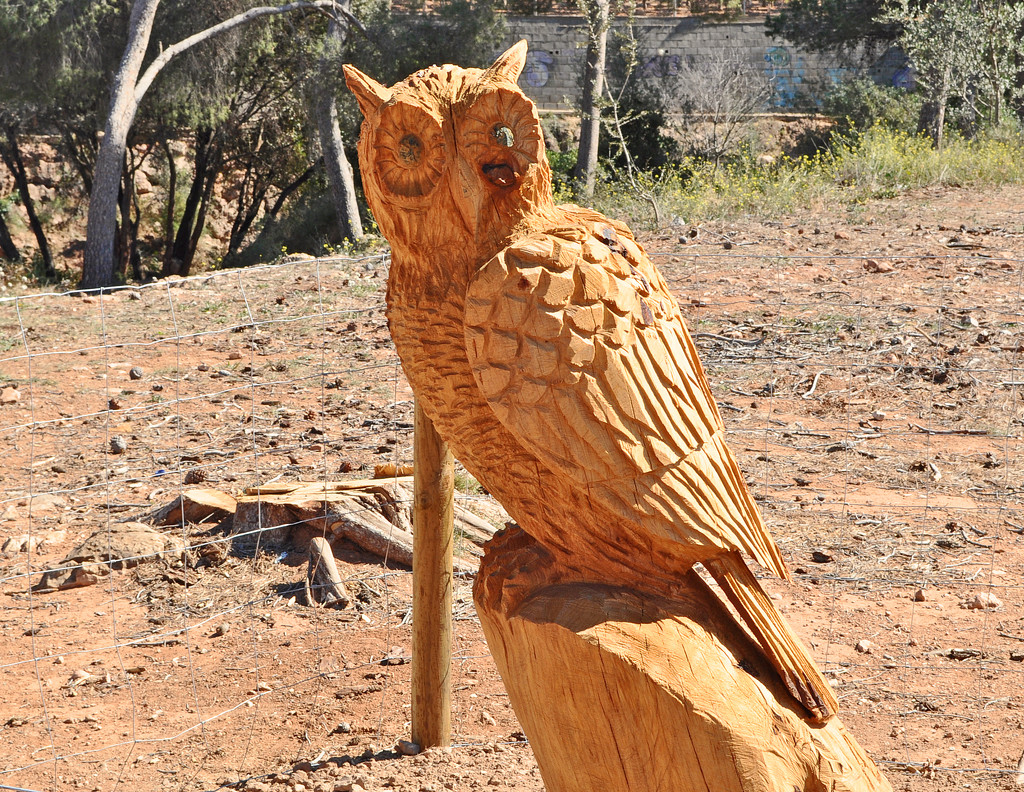 Wooden Owl  by philbacon