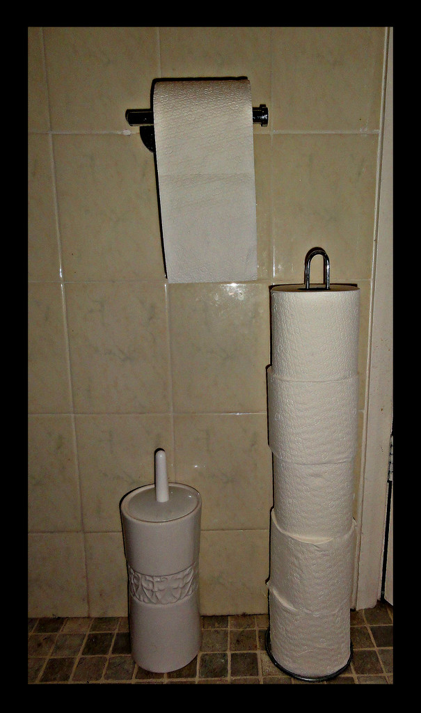 Toilet roll .  by beryl