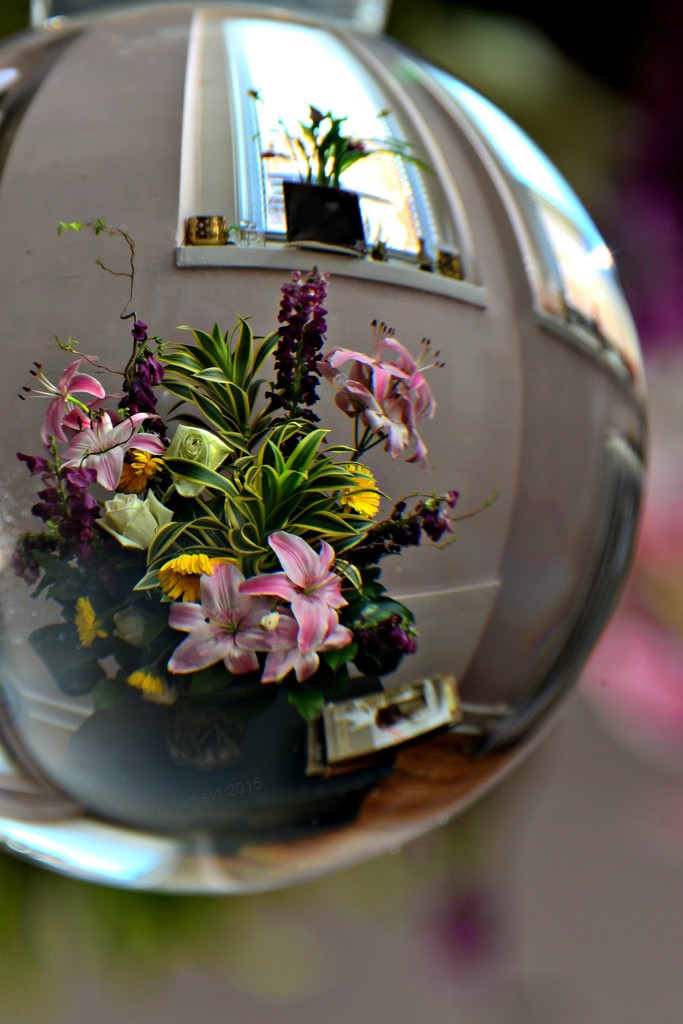 flowers on tiny planet by summerfield