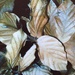 Leaves by mattjcuk