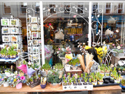 6th Mar 2015 - Flower shop...in Ludlow