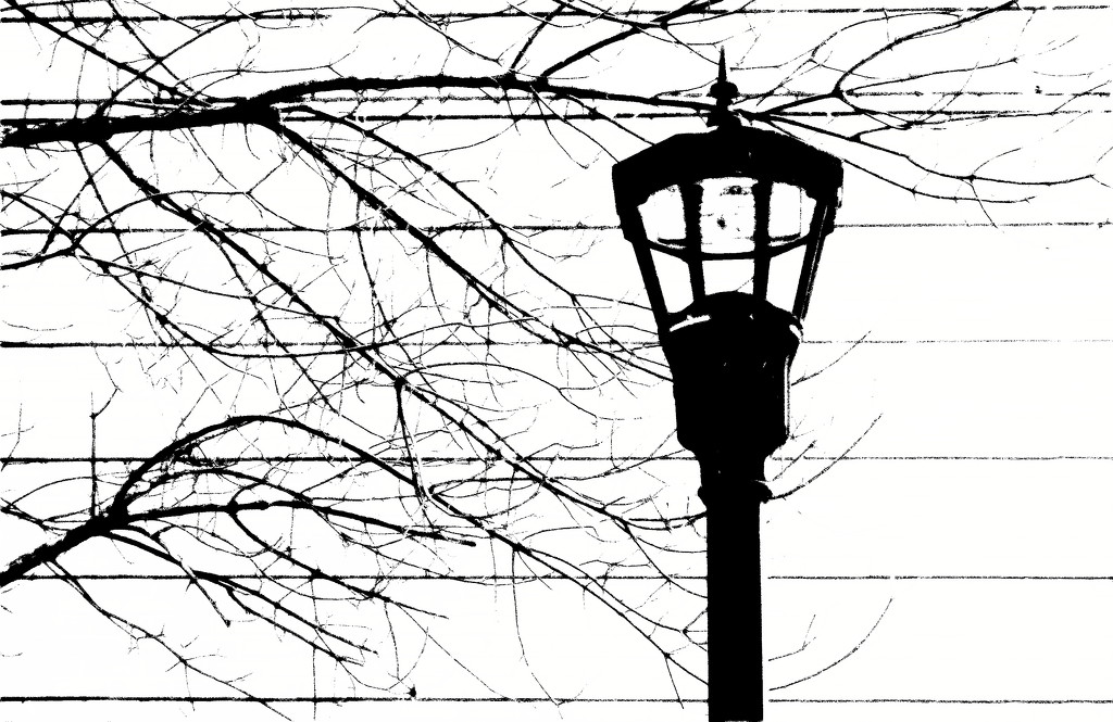 Lightpost by francoise