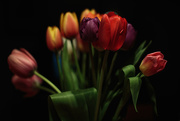 10th Mar 2015 - Spring Has Arrived.  Tulips From Pike Place Market.