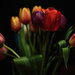 Spring Has Arrived.  Tulips From Pike Place Market. by seattle