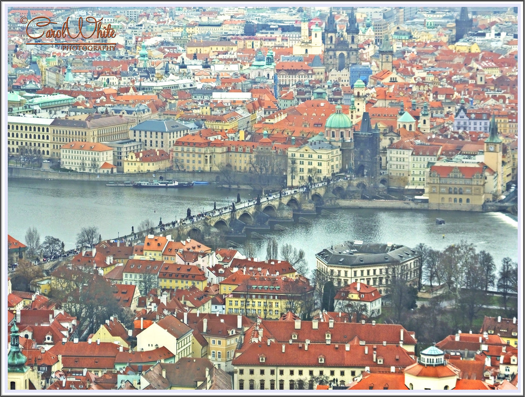 View From The Petrin Tower,Prague by carolmw