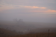 10th Mar 2015 - Foggy Kansas Landscape SOOC