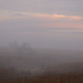 Foggy Kansas Landscape SOOC by kareenking