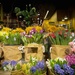 Springtime at the supermarket by mittens