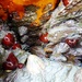 Beadlet Anemones and Limpets by julienne1