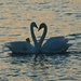 Love is In the Air by selkie