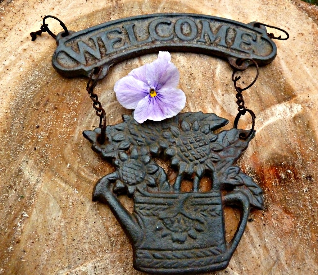 Welcome. by wendyfrost