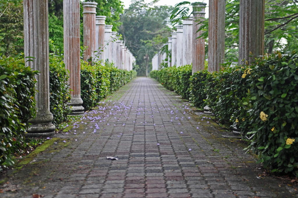 Colonnade walkTaiping by ianjb21