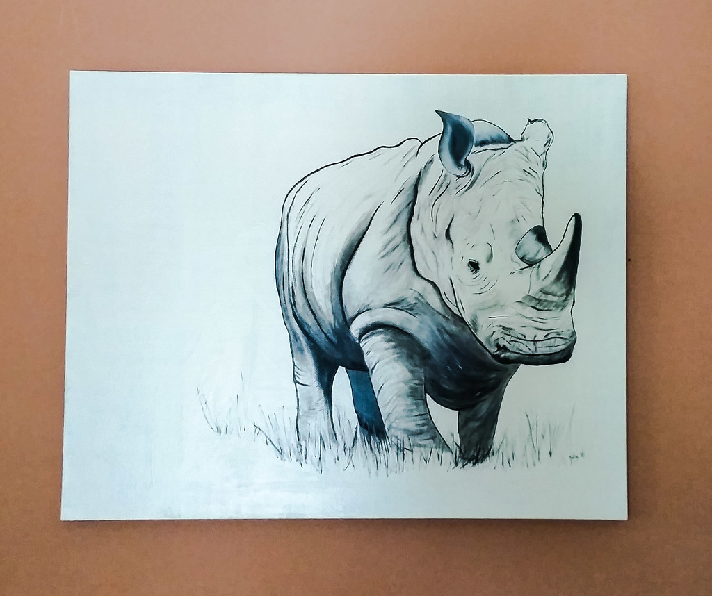 Rhino Painting  by salza