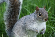 8th Oct 2011 - Any nuts, biscuits or crackers?