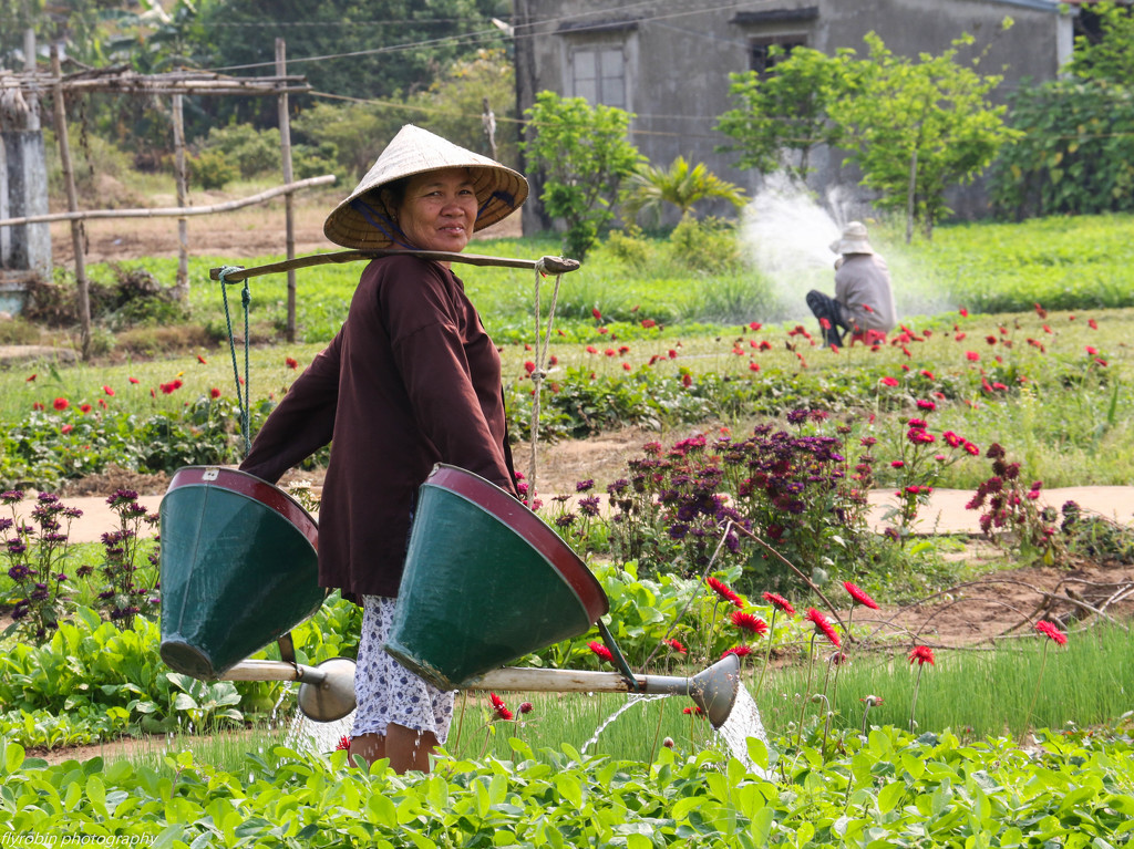 Watering the market garden - Vietnamese style by flyrobin