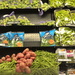 Produce aisle by kathyrose