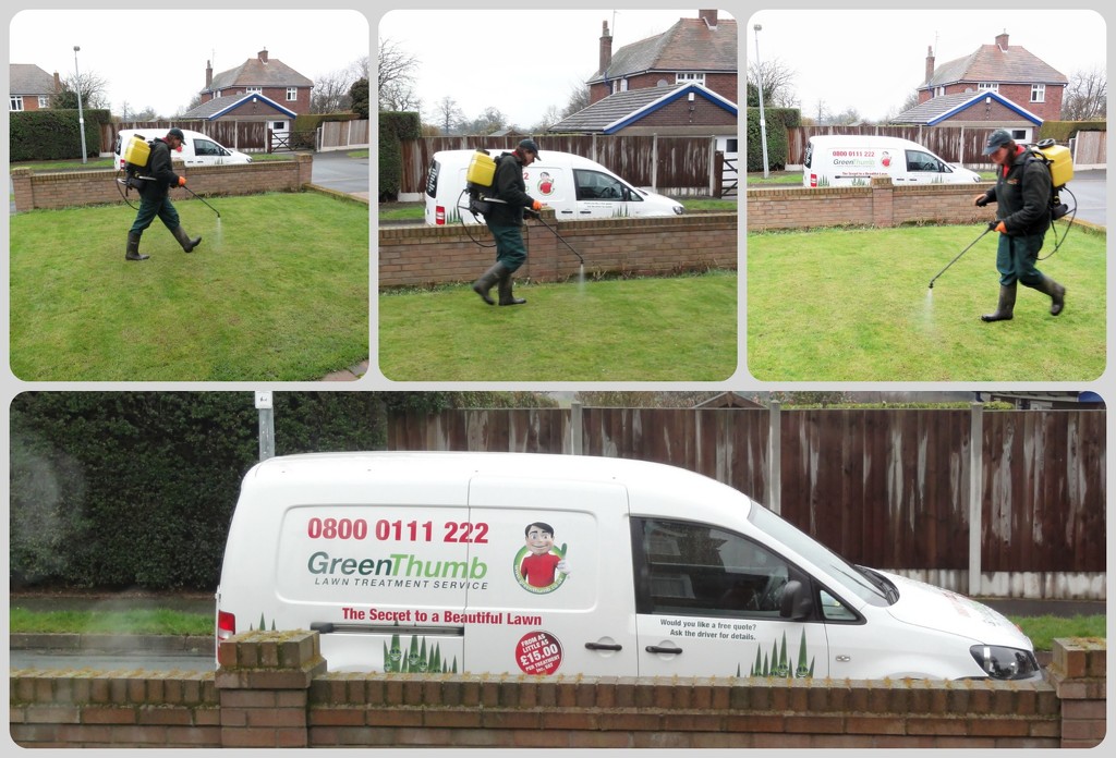 The Lawn Treatment Service  by beryl