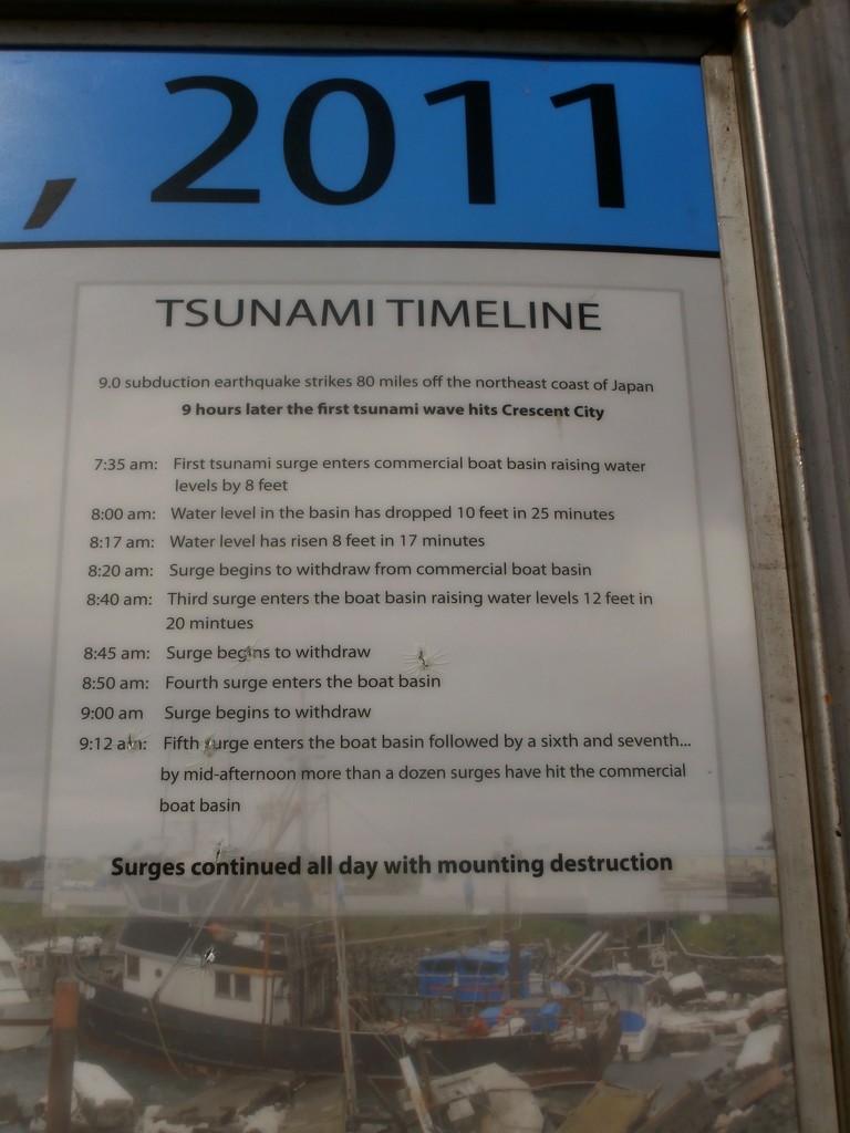 Tsunami Timeline by pandorasecho
