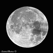 14th Mar 2015 - moon