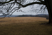 14th Mar 2015 - Valley Forge Winter Encampment