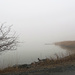 Fog Settles on the Marsh #2 by april16