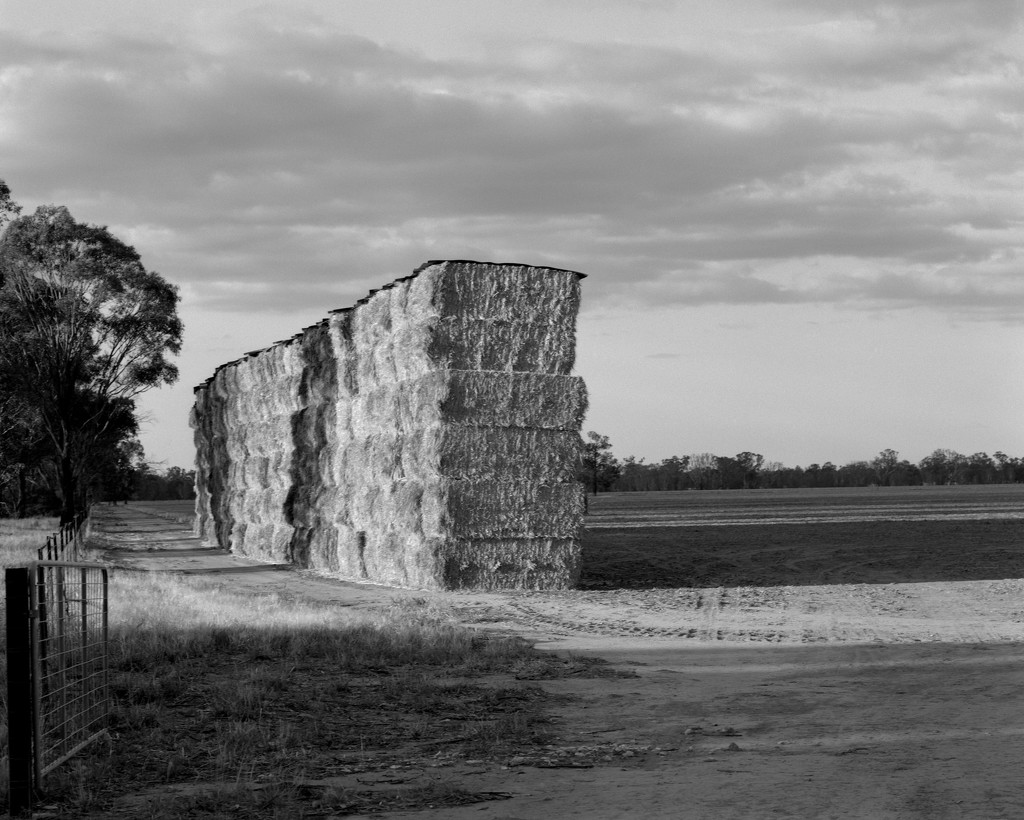 Hay for sale by peterdegraaff