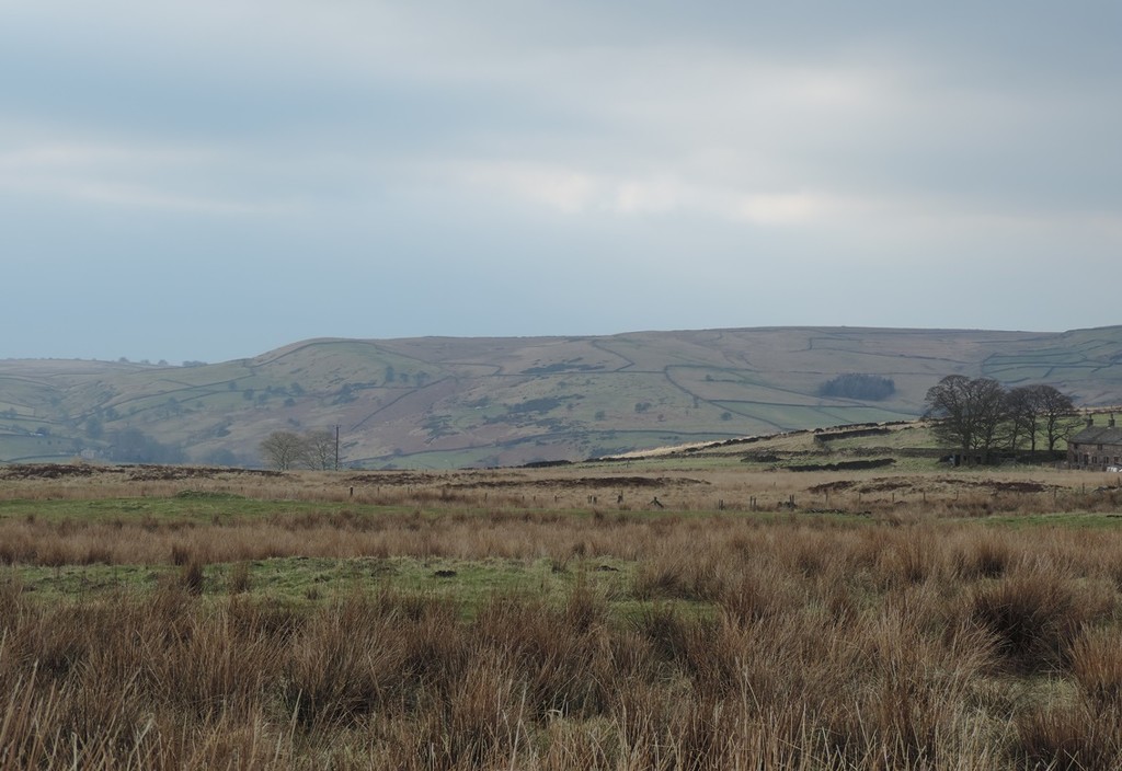 Moorland view by roachling