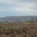 Moorland view by roachling
