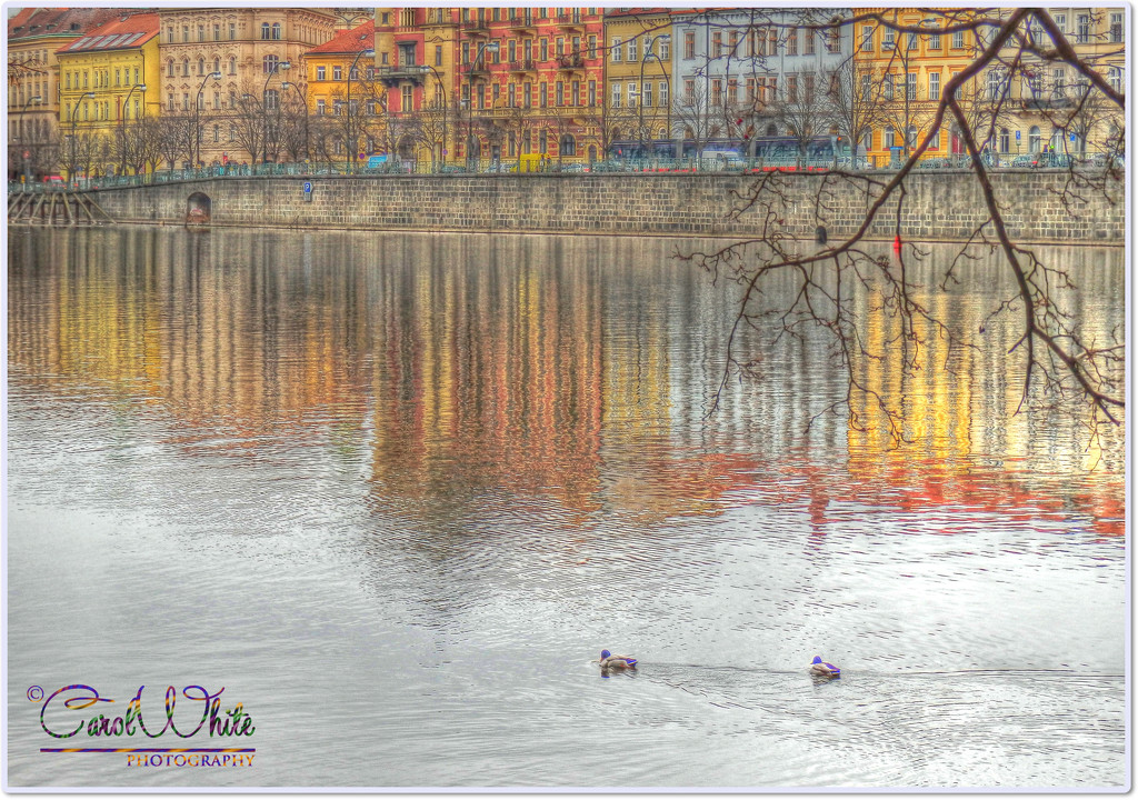 Reflections On The River Vltava, Prague by carolmw