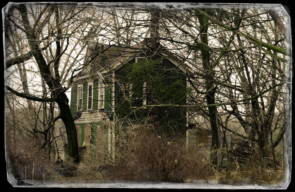 Green decrepit house by francoise