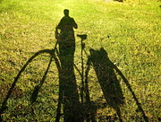 15th Mar 2015 - Bike Shadow