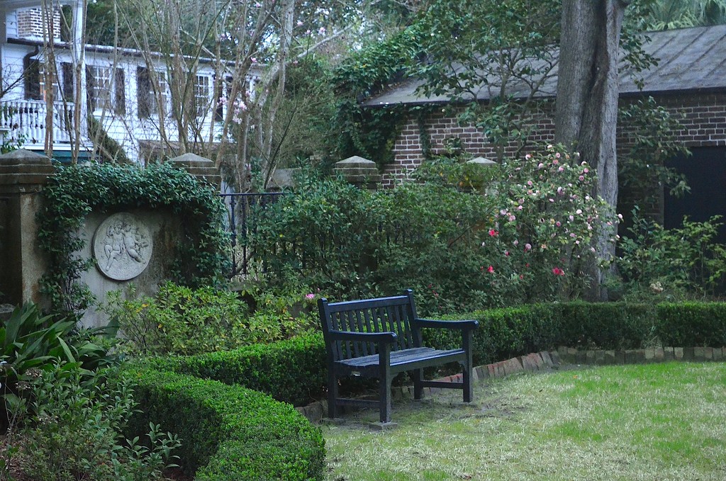 One of my favorite Charleston gardens by congaree
