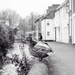Ducks on a wall by barrowlane